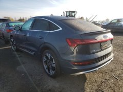 Audi e-tron Premium Plus 2021 5