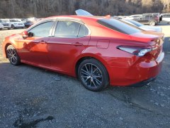 Toyota Camry XLE Hybrid 2024 5
