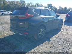 Honda CR-V EX-L 2022 6