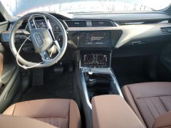 Audi e-tron Premium Plus 2021 7
