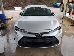 Toyota Corolla LE 2024 1