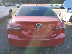 Toyota Camry XLE Hybrid 2024 4