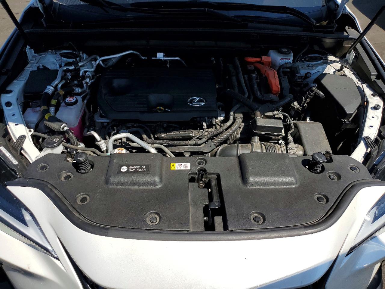 Lexus Nx 450H+ Base 2024 11