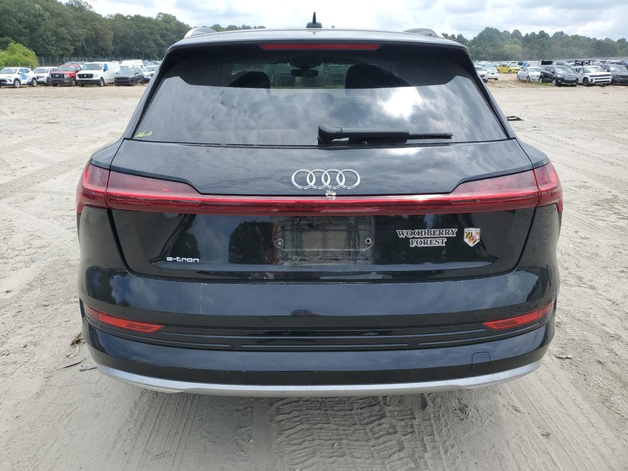 Audi E-Tron Premium Plus 2019 5