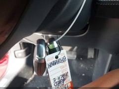 Ford Mustang Mach-E Premium 2021 12