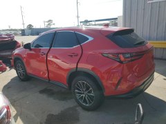 Lexus NX250 2023 5