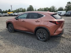 Lexus NX350h Premium 2025 5
