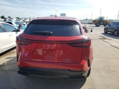 Lexus NX250 2023 4