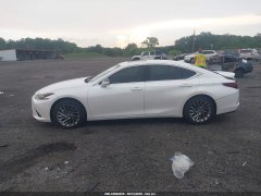 Lexus ES350 Luxury 2025 7