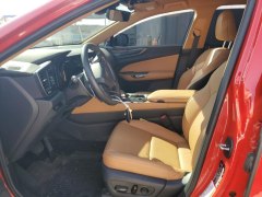 Lexus NX250 2023 6