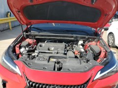 Lexus NX250 2023 11