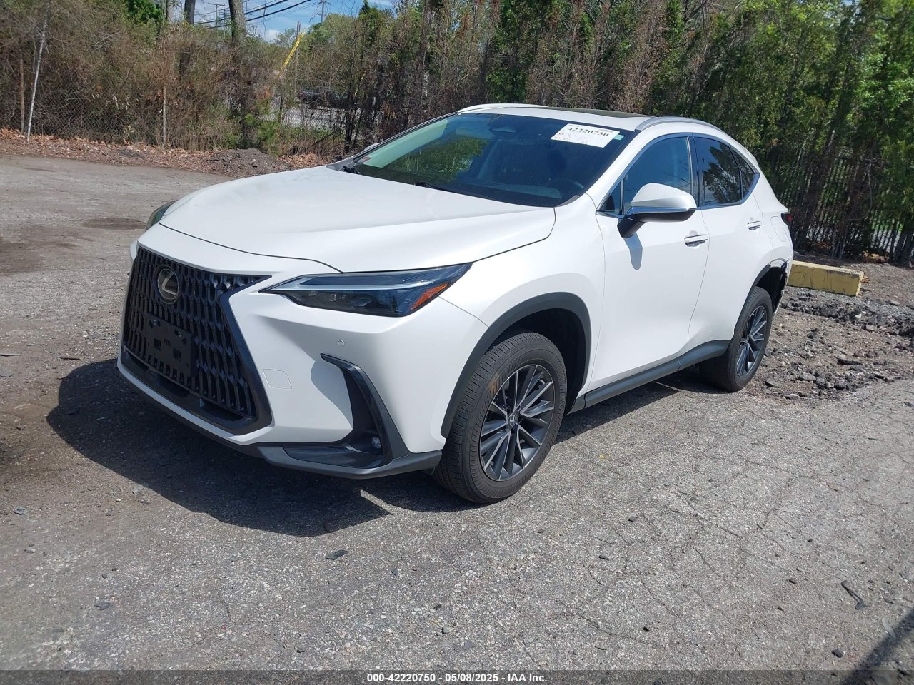 Lexus NX350 Premium 2022 0 Lexus NX350 Premium 2022 0