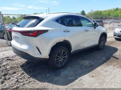 Lexus NX350 Premium 2022 4 Lexus NX350 Premium 2022 4