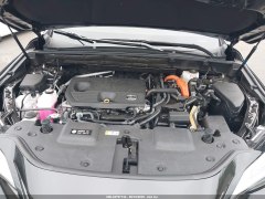 Lexus NX350h Premium 2025 8