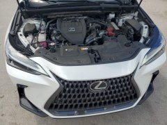 Lexus NX350 Premium 2024 11
