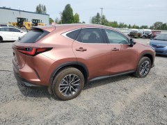 Lexus NX350h Premium 2025 3