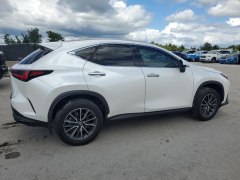 Lexus NX350 Premium 2024 3