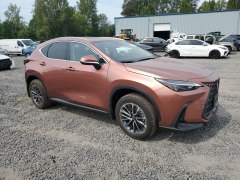 Lexus NX350h Premium 2025 2