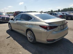 Lexus ES300h Luxury 2021 5