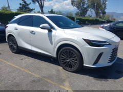Lexus RX350 Premium Plus 2024 2