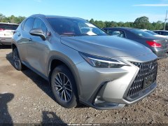 Lexus NX350h 2024 1