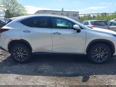 Lexus NX350 Premium 2022 3 Lexus NX350 Premium 2022 3