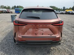 Lexus NX350h Premium 2025 4