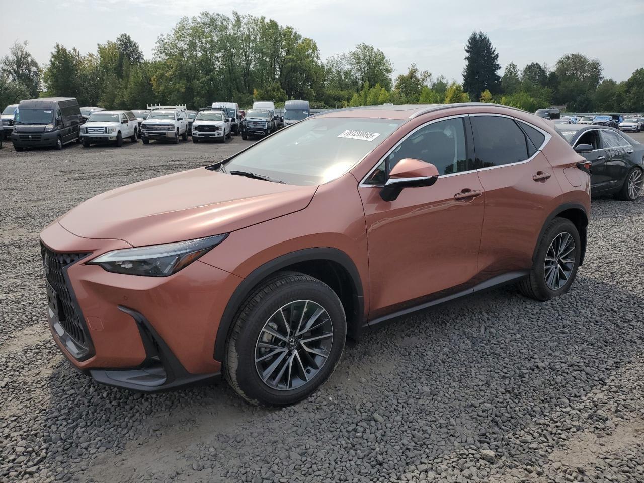 Lexus NX350h Premium 2025 0 Lexus NX350h Premium 2025 0