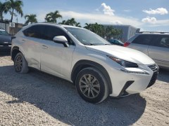 Lexus NX300 F Sport 2019 2