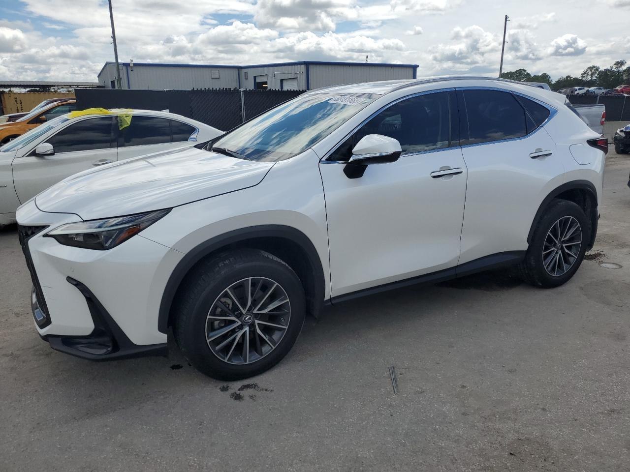 Lexus NX350 Premium 2024 0 Lexus NX350 Premium 2024 0
