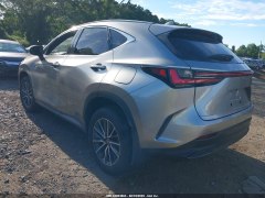Lexus NX350h 2024 3