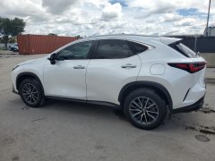 Lexus NX350 Premium 2024 5