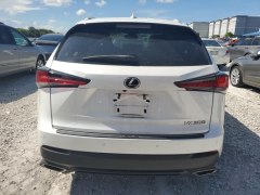 Lexus NX300 F Sport 2019 4