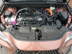 Lexus NX350h Premium 2025 11