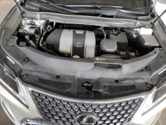 Lexus RX350 2021 10