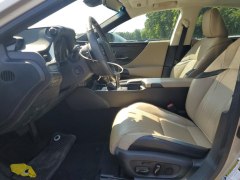 Lexus ES300h Luxury 2021 6