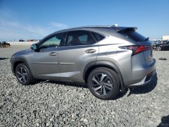 Lexus NX300h 2020 5