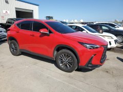 Lexus NX250 2023 2