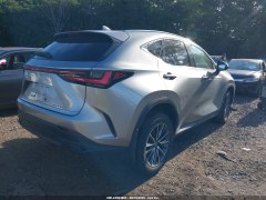 Lexus NX350h 2024 2