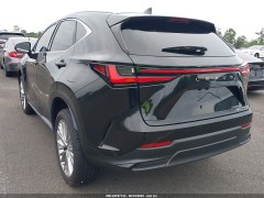 Lexus NX350h Premium 2025 3