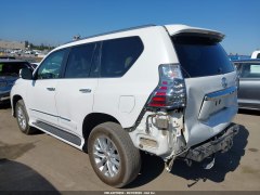 Lexus GX460 2019 6