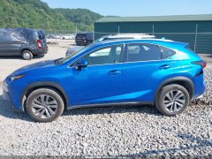 Lexus NX300 F Sport 2018 6