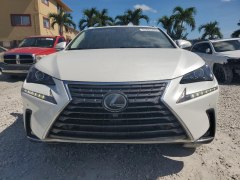 Lexus NX300 F Sport 2019 1