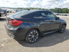 BMW X6 XDrive 35i 2019 3