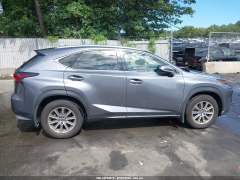 Lexus NX300 2021 3