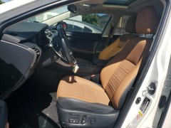 Lexus NX300 F Sport 2019 6
