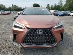 Lexus NX350h Premium 2025 1