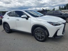 Lexus NX350 Premium 2024 2