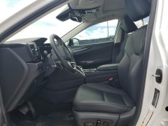 Lexus NX350 Premium 2024 6
