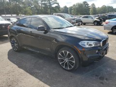 BMW X6 XDrive 35i 2019 2